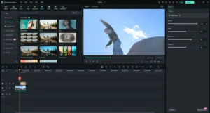 Wondershare Filmora 11 Free Download