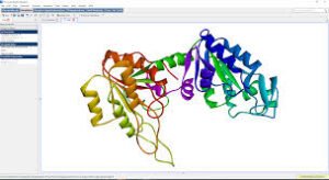 DS BIOVIA Materials Studio 2024 Free Download