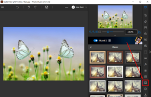 InPixio Photo Editor 2025 Free Download